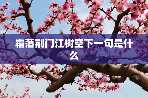 霜落荆门江树空下一句是什么