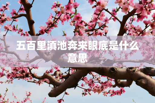 五百里滇池奔来眼底是什么意思