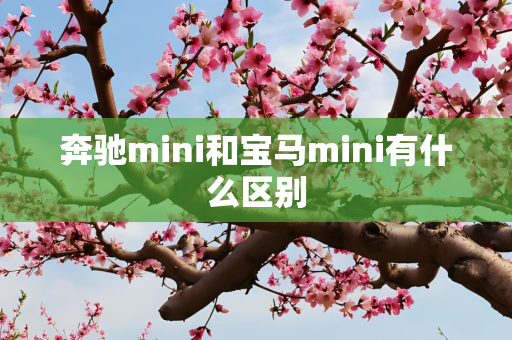 奔驰mini和宝马mini有什么区别