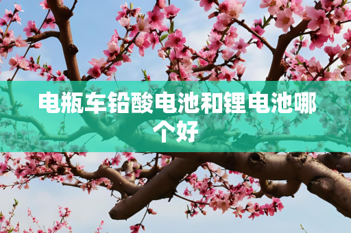 电瓶车铅酸电池和锂电池哪个好