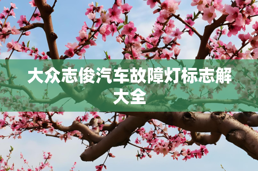 大众志俊汽车故障灯标志解大全