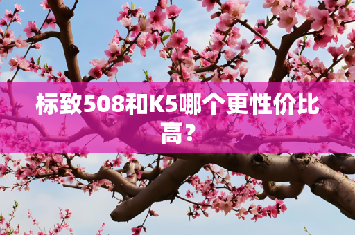 标致508和K5哪个更性价比高？