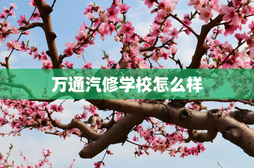 万通汽修学校怎么样