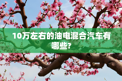 10万左右的油电混合汽车有哪些?