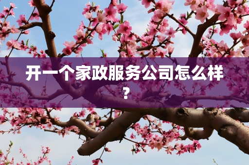 开一个家政服务公司怎么样？
