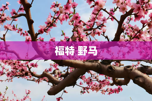 福特 野马