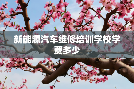 新能源汽车维修培训学校学费多少