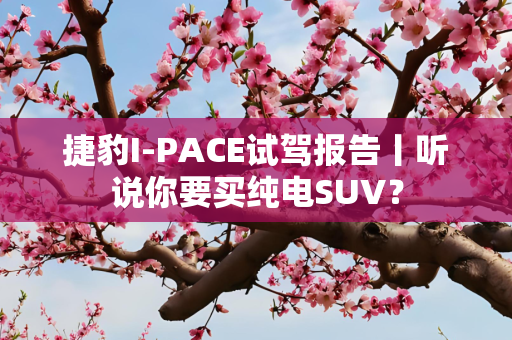 捷豹I-PACE试驾报告丨听说你要买纯电SUV？