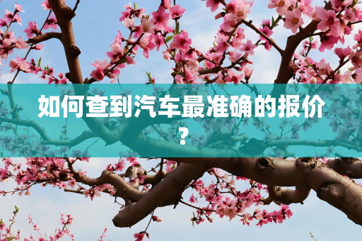 国际 第258页