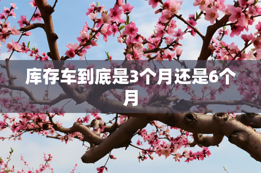 库存车到底是3个月还是6个月
