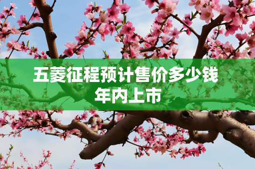 五菱征程预计售价多少钱 年内上市