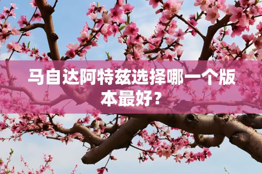 马自达阿特兹选择哪一个版本最好？