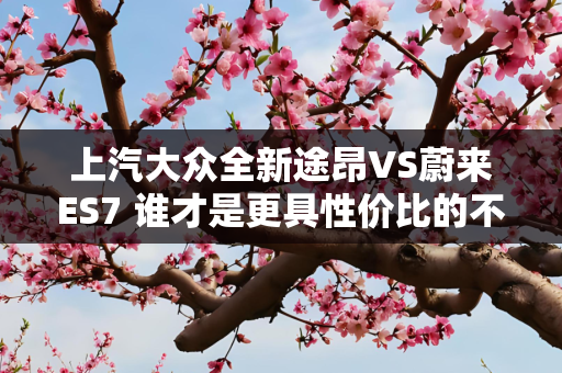 上汽大众全新途昂VS蔚来ES7 谁才是更具性价比的不二之选？