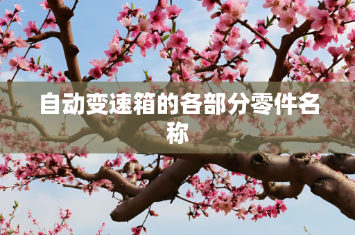 自动变速箱的各部分零件名称