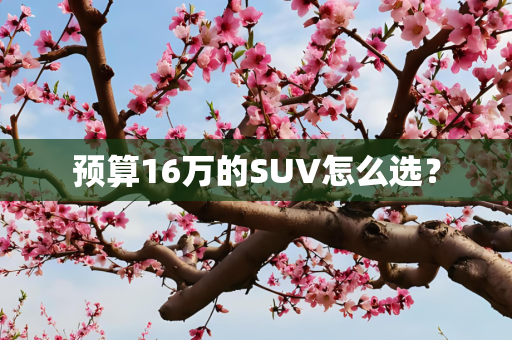 预算16万的SUV怎么选？