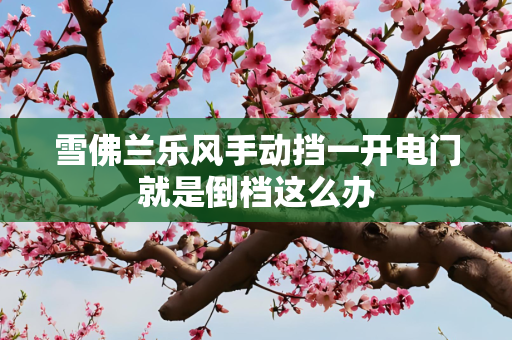 雪佛兰乐风手动挡一开电门就是倒档这么办
