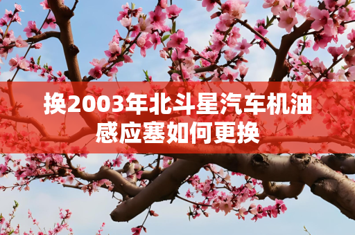 换2003年北斗星汽车机油感应塞如何更换