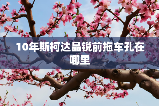 10年斯柯达晶锐前拖车孔在哪里