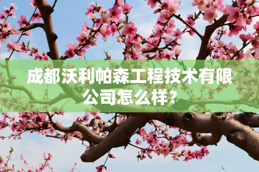 成都沃利帕森工程技术有限公司怎么样？