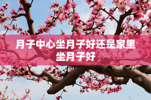 月子中心坐月子好还是家里坐月子好