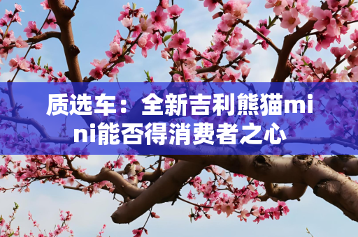 质选车：全新吉利熊猫mini能否得消费者之心