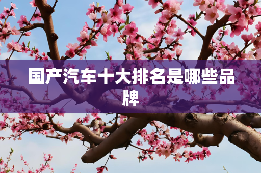 国产汽车十大排名是哪些品牌
