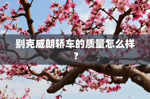 别克威朗轿车的质量怎么样？