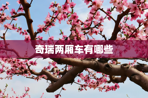 奇瑞两厢车有哪些