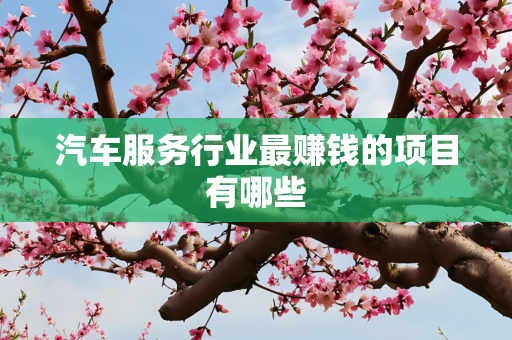 汽车服务行业最赚钱的项目有哪些