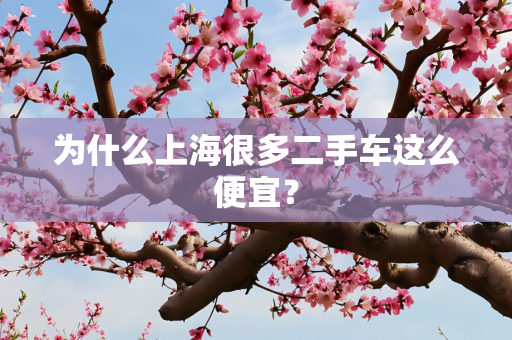 为什么上海很多二手车这么便宜？