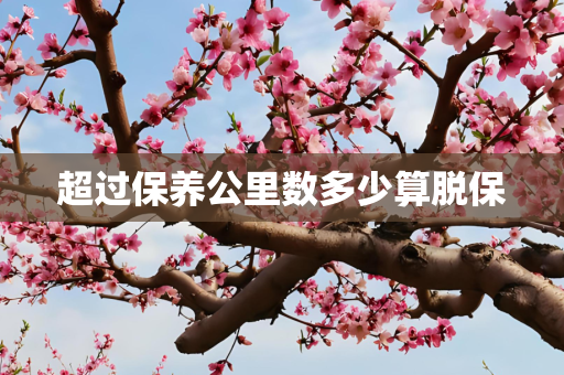 超过保养公里数多少算脱保