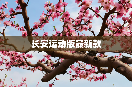 长安运动版最新款