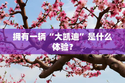 拥有一辆“大凯迪”是什么体验？