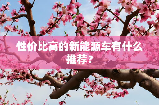 性价比高的新能源车有什么推荐？