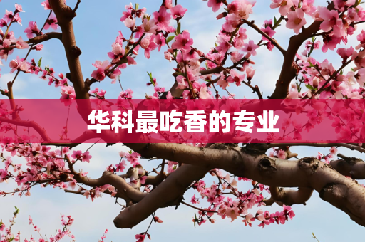 华科最吃香的专业