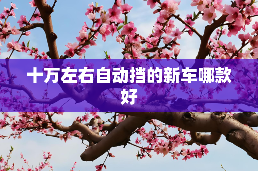 十万左右自动挡的新车哪款好