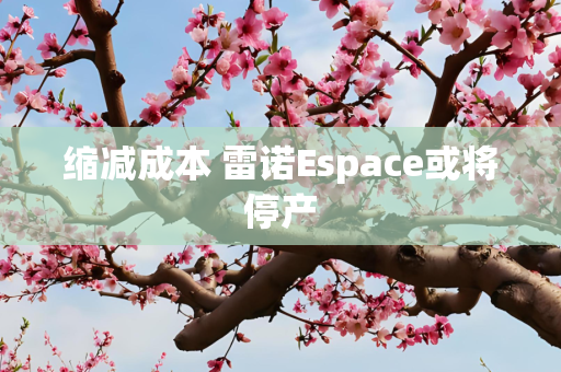 缩减成本 雷诺Espace或将停产