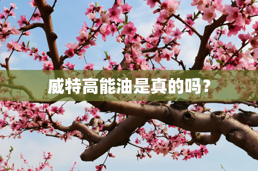 威特高能油是真的吗？