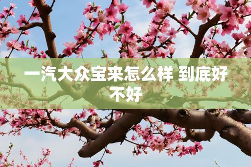 一汽大众宝来怎么样 到底好不好