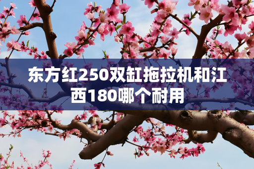 东方红250双缸拖拉机和江西180哪个耐用