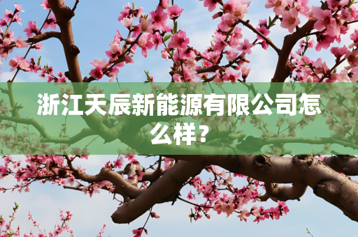 浙江天辰新能源有限公司怎么样？