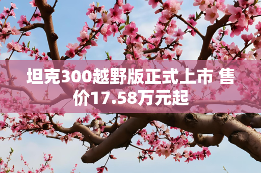 坦克300越野版正式上市 售价17.58万元起