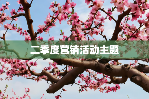 二季度营销活动主题