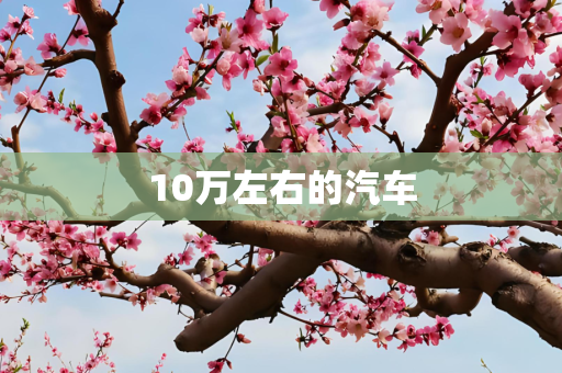 10万左右的汽车