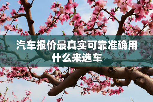 汽车报价最真实可靠准确用什么来选车