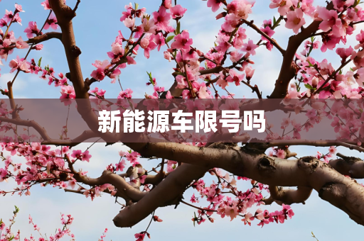 新能源车限号吗