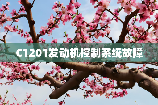 C1201发动机控制系统故障