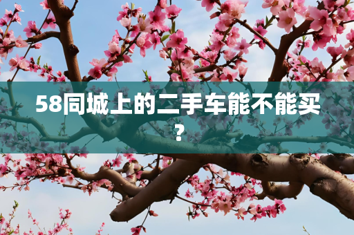 58同城上的二手车能不能买？