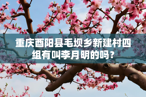 重庆酉阳县毛坝乡新建村四组有叫李月明的吗？