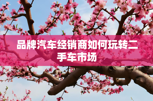 品牌汽车经销商如何玩转二手车市场